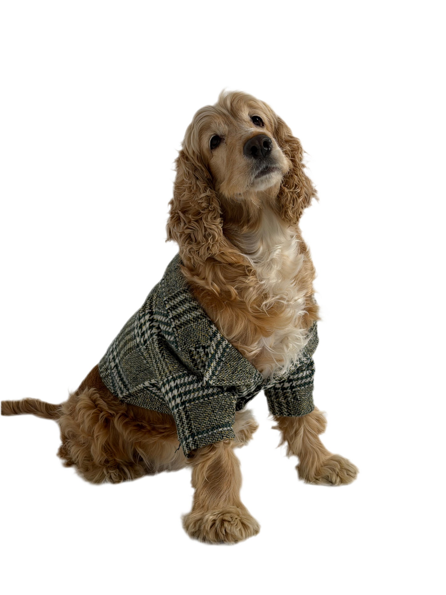 The Tweed