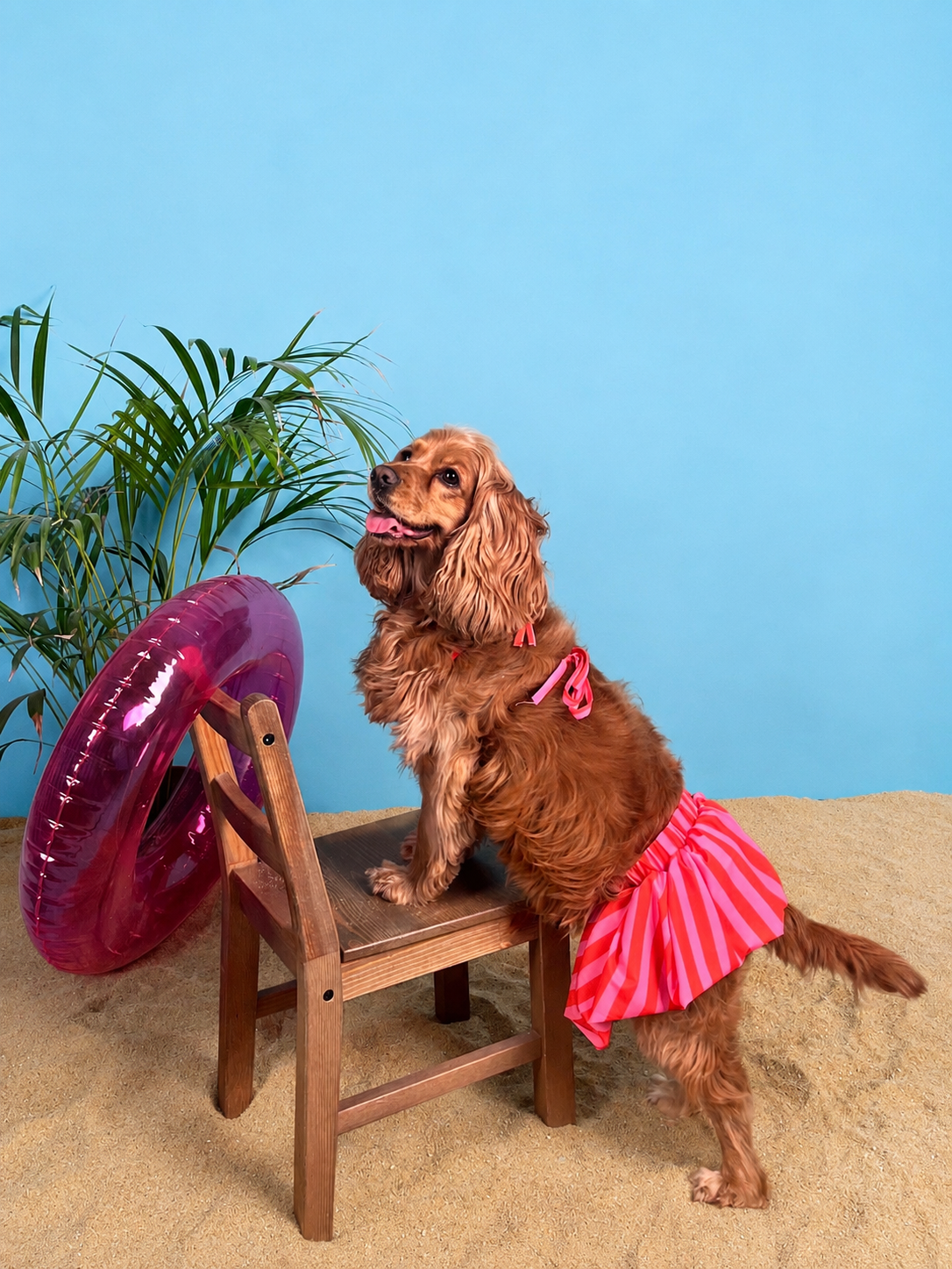 The Cabana (for her)