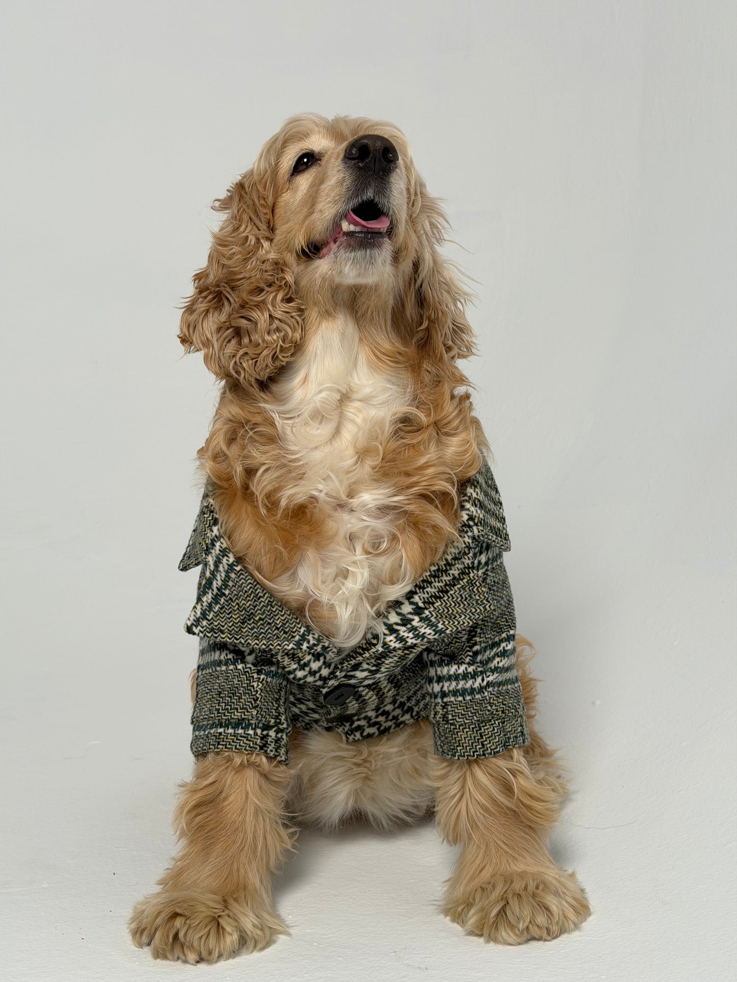 The Tweed