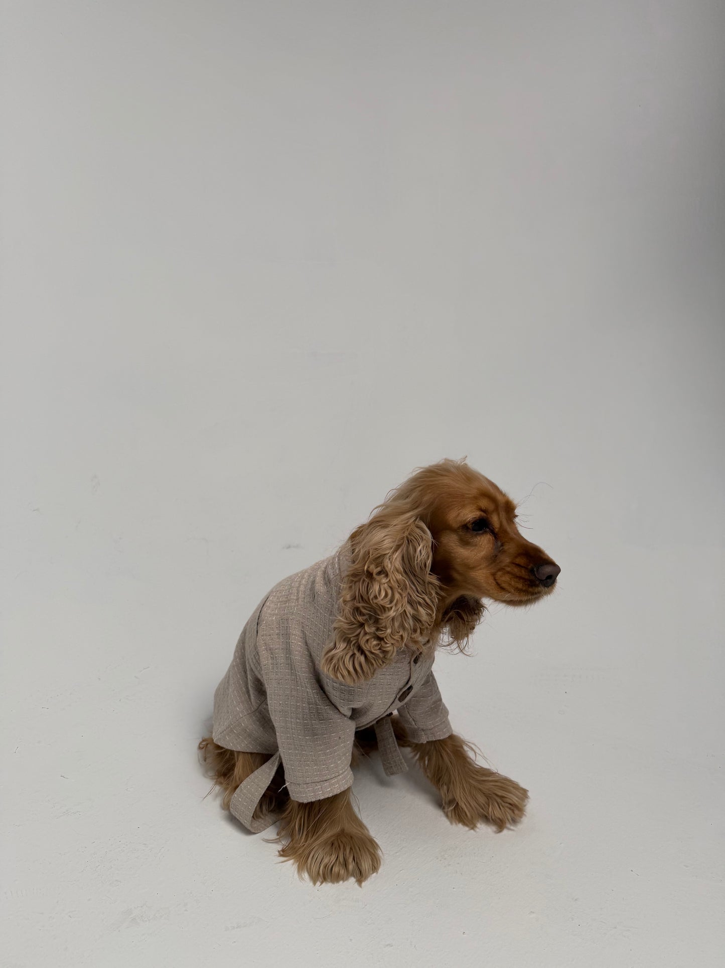 The Cardigan