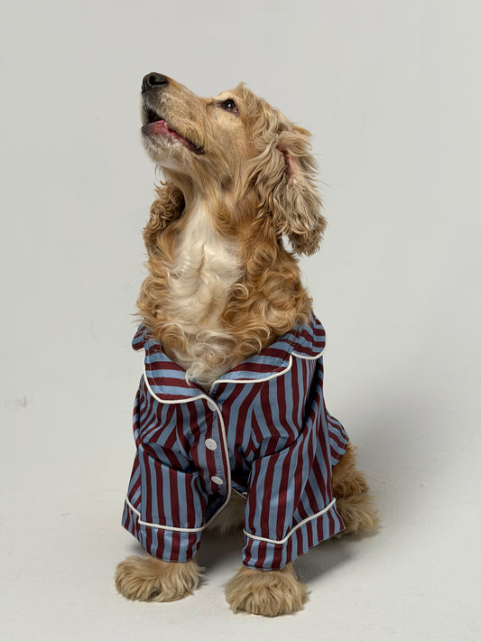 The PJs