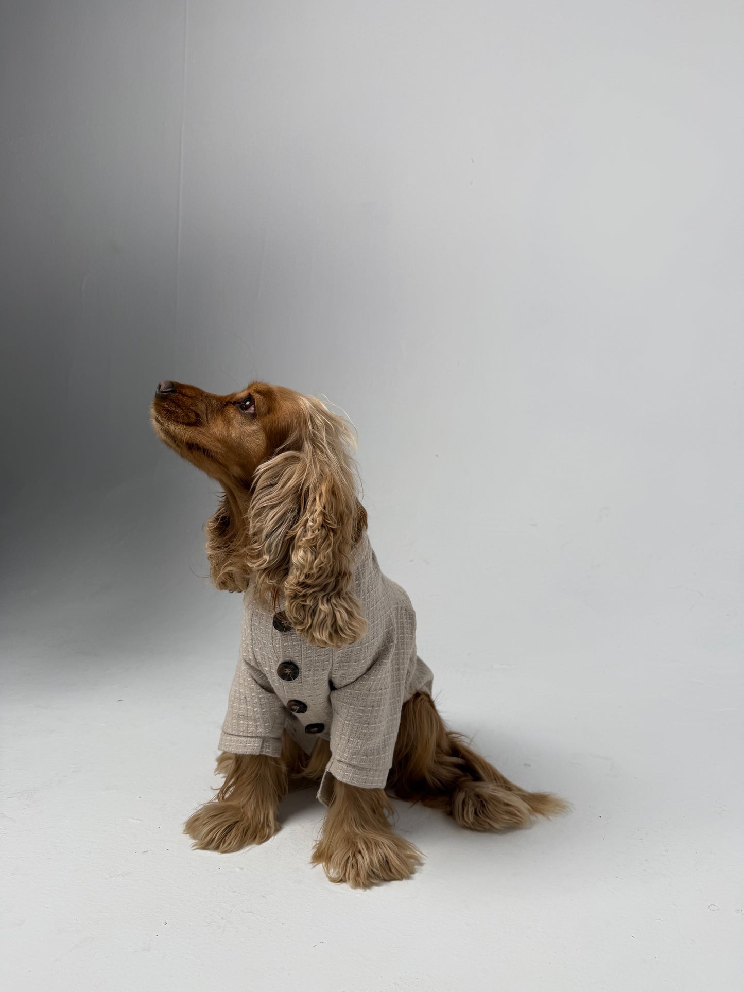The Cardigan