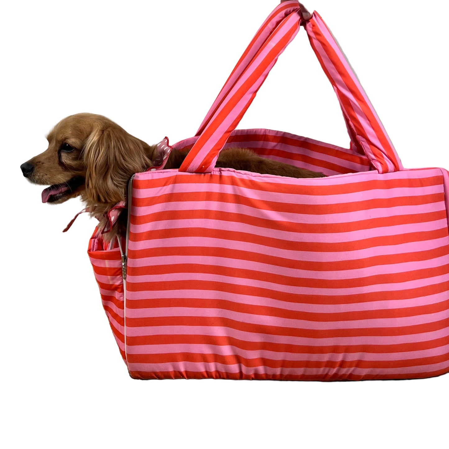 The Bag