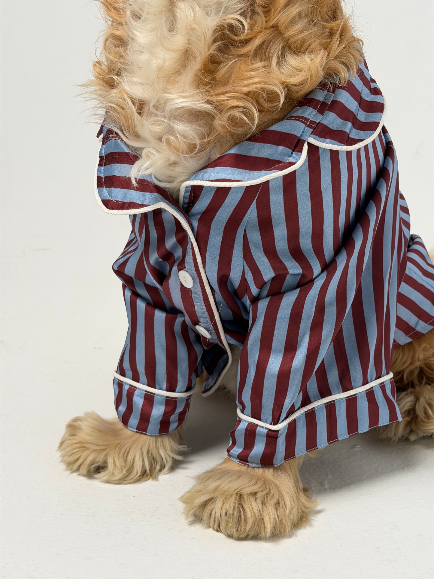 The PJs