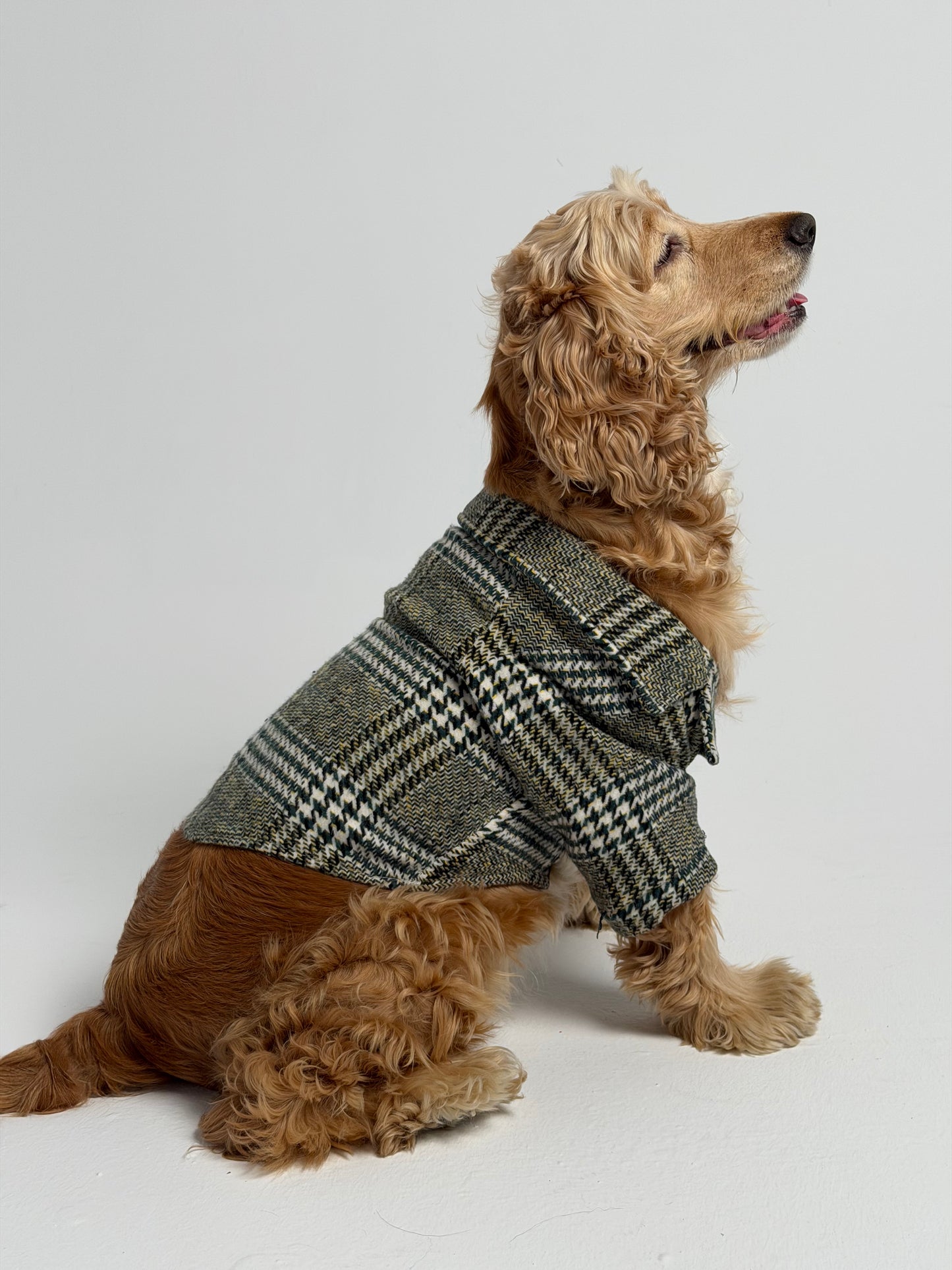The Tweed