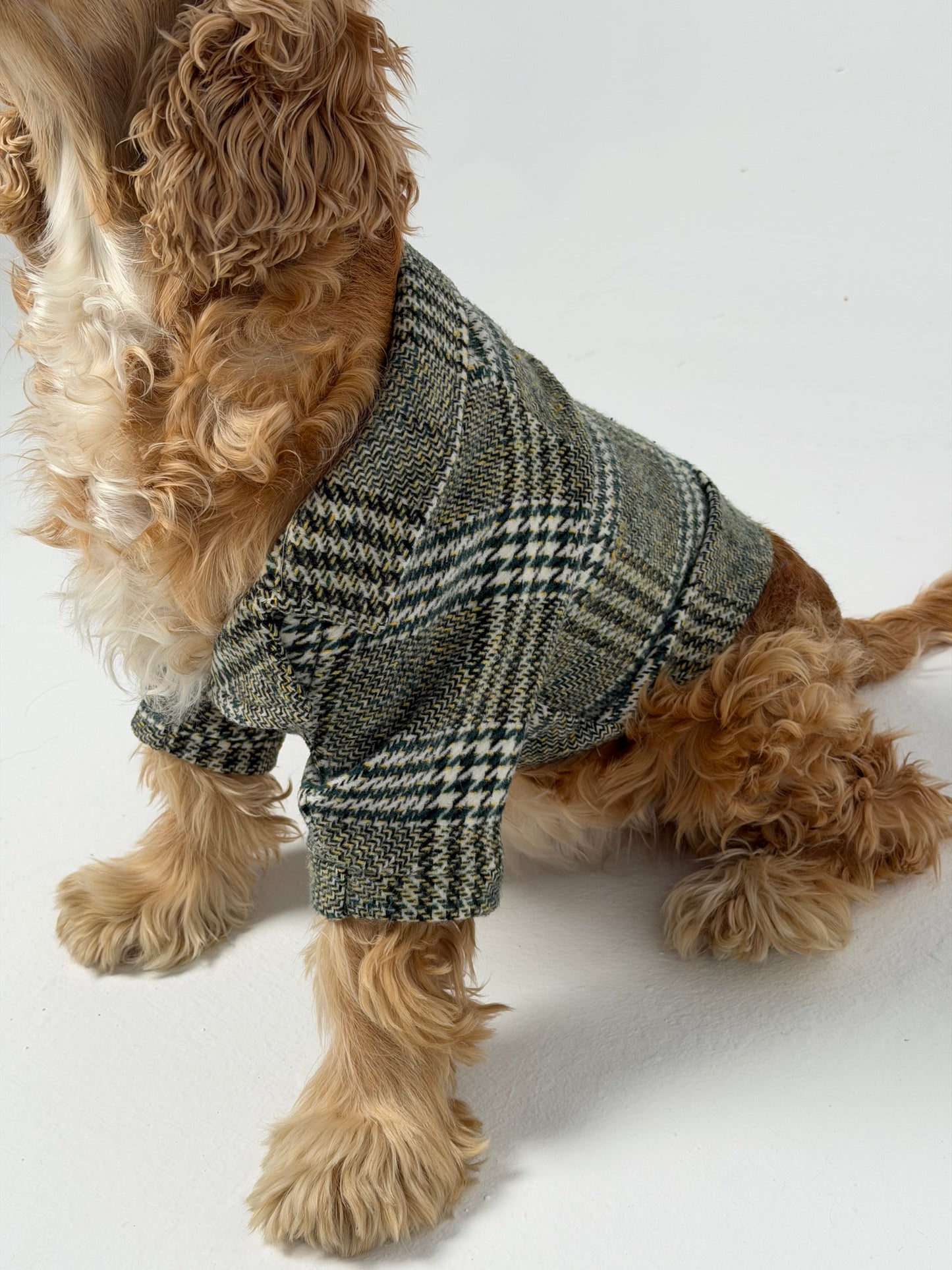 The Tweed