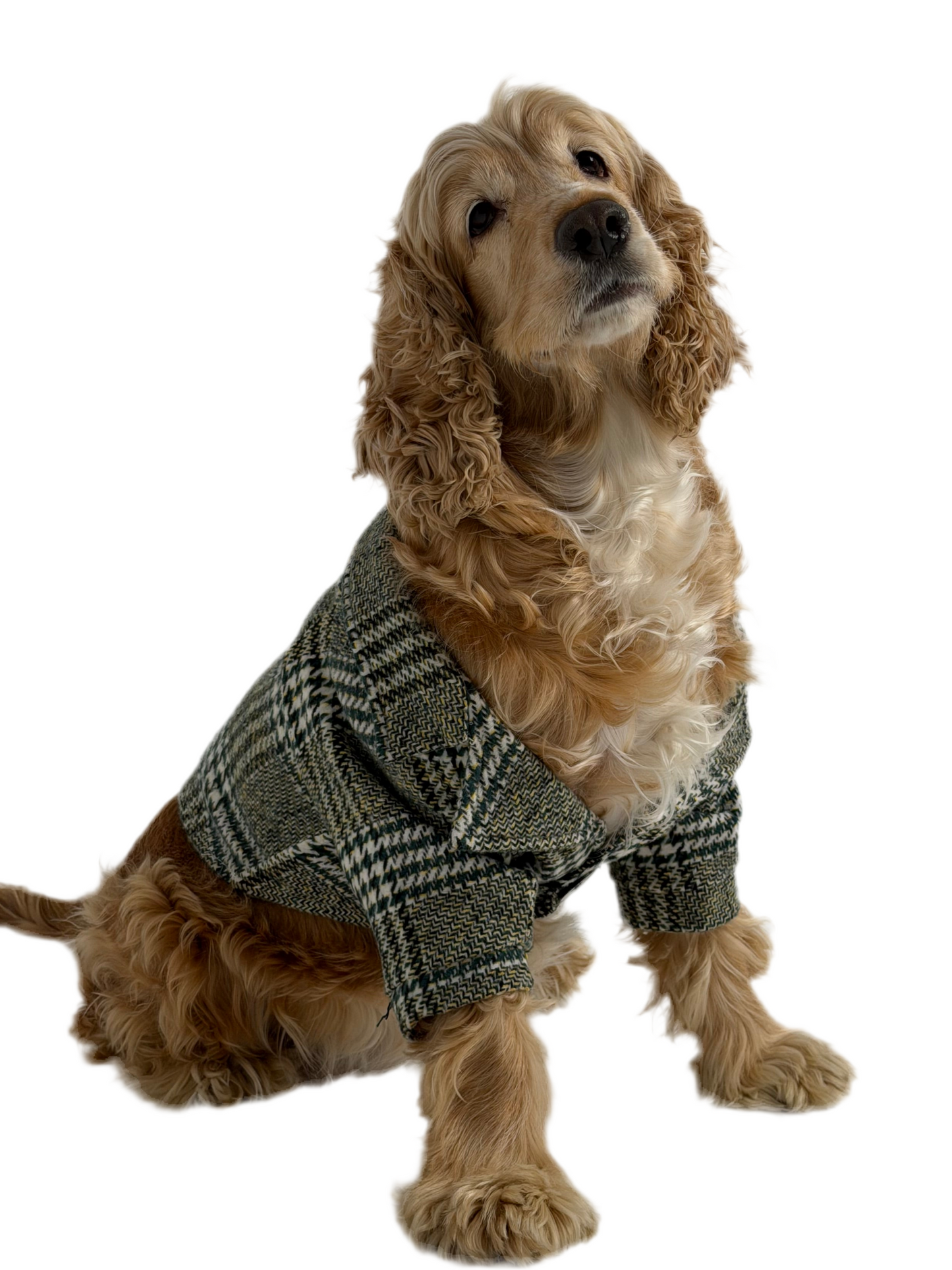 The Tweed