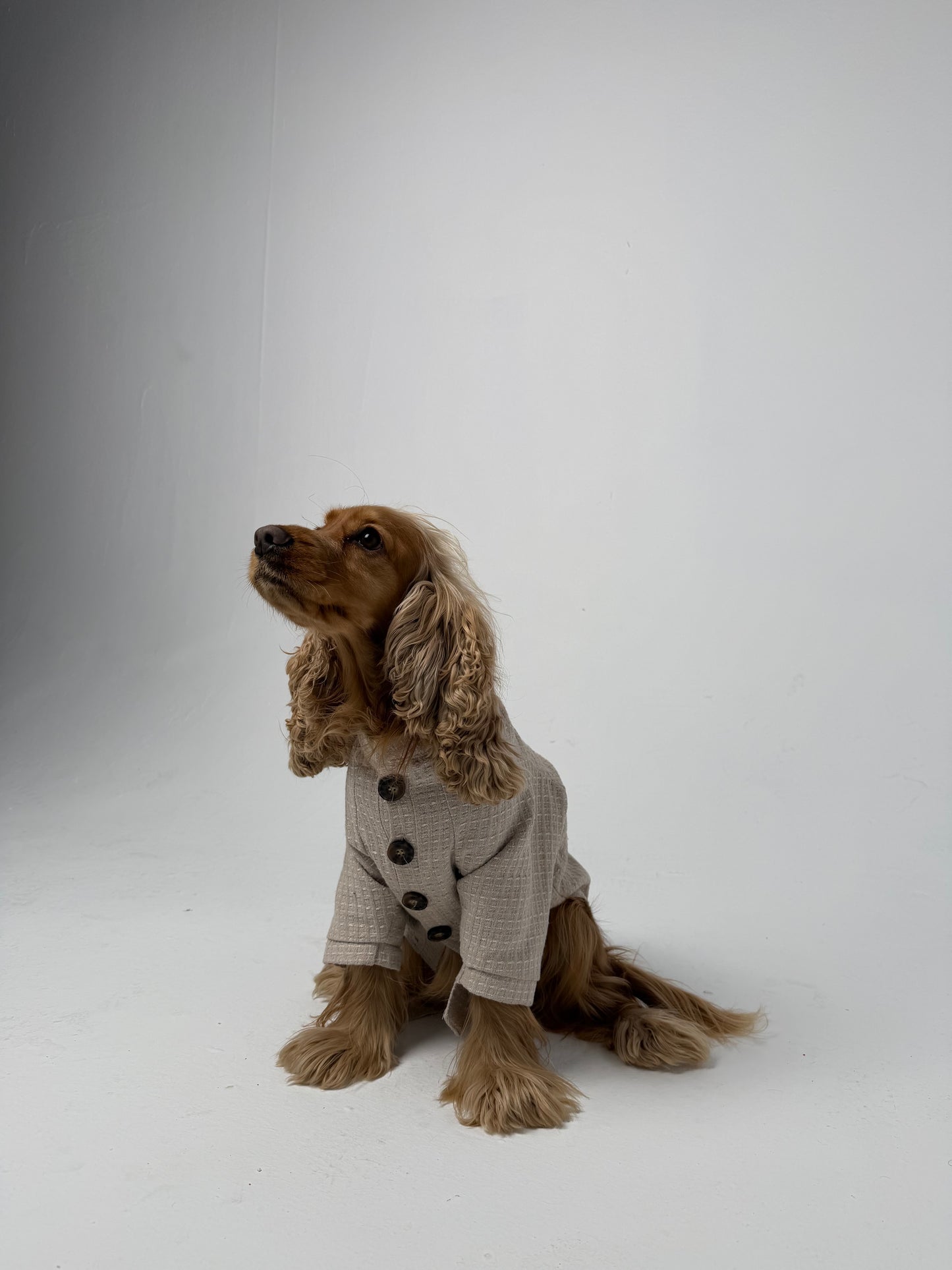 The Cardigan