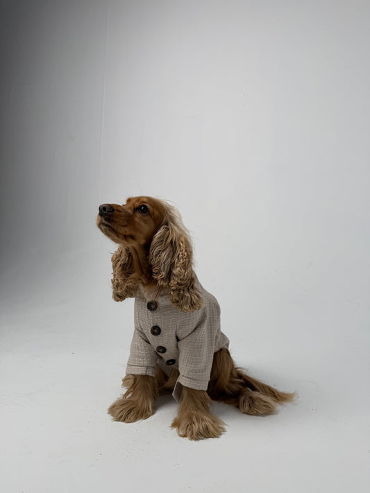 The Cardigan