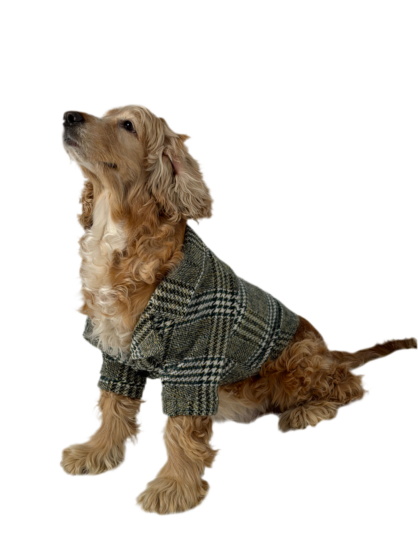The Tweed