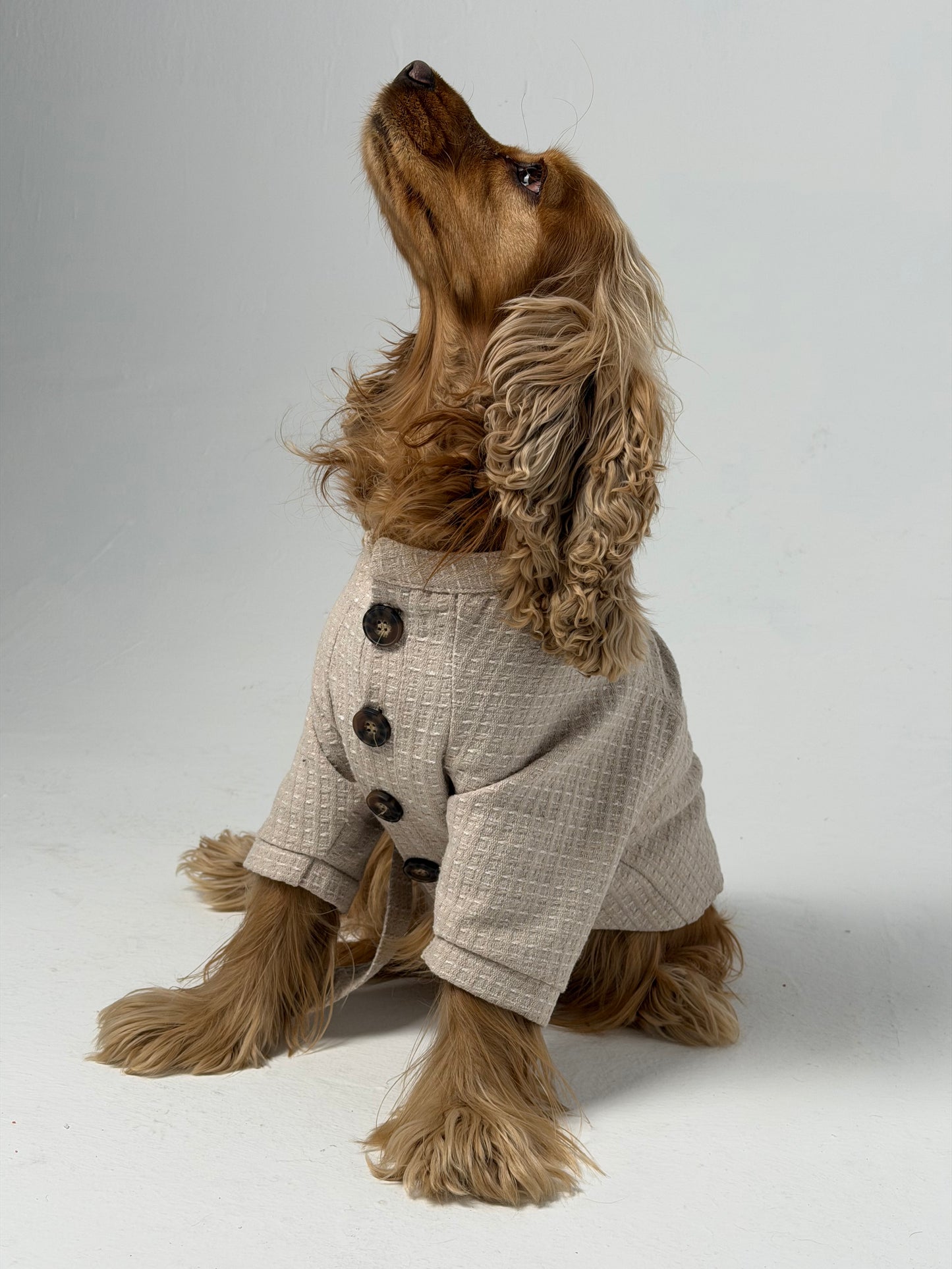 The Cardigan