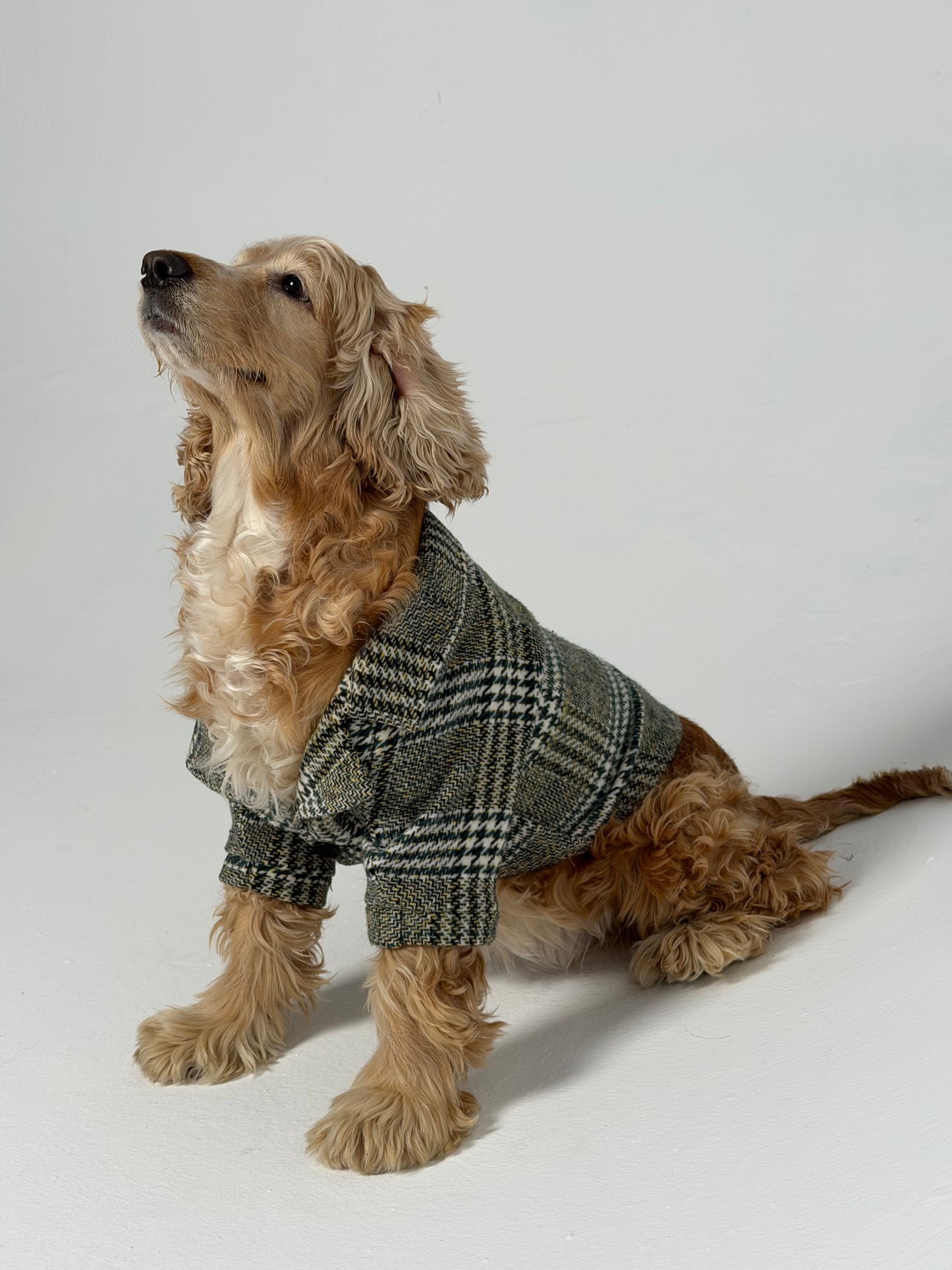 The Tweed