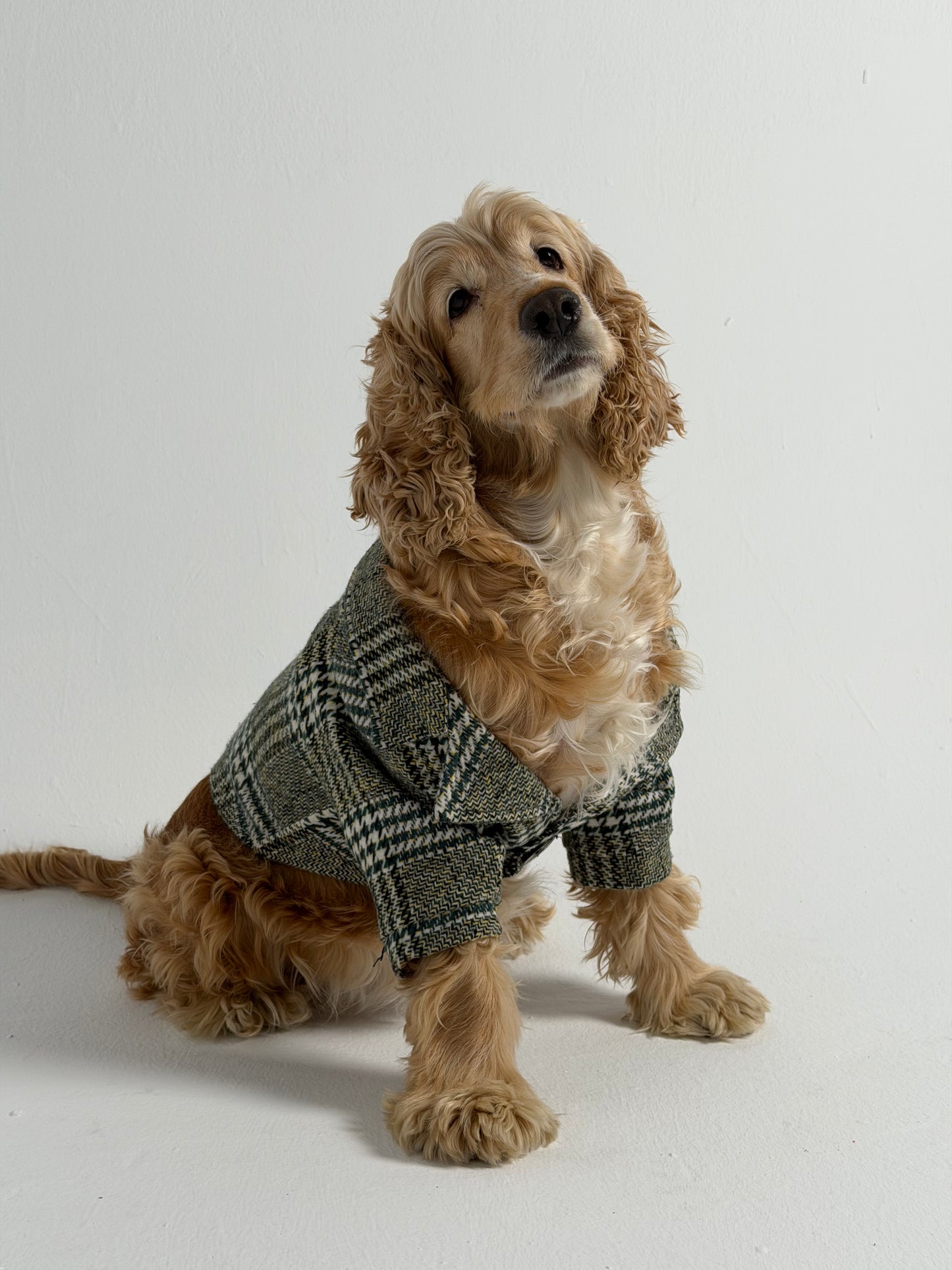 The Tweed