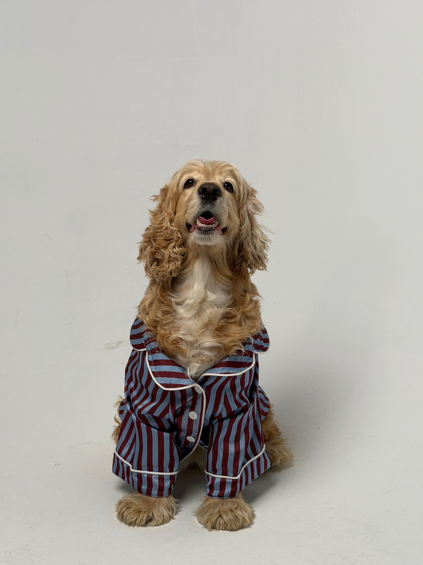 The PJs