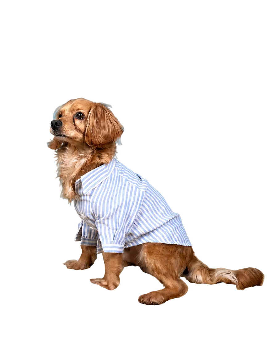 The Linen Shirt