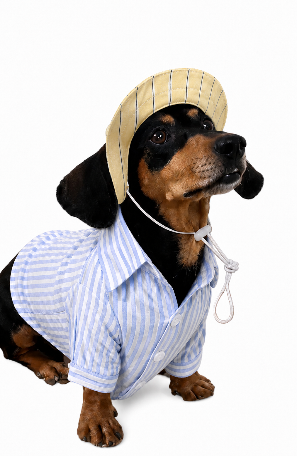 The Riviera (for him)