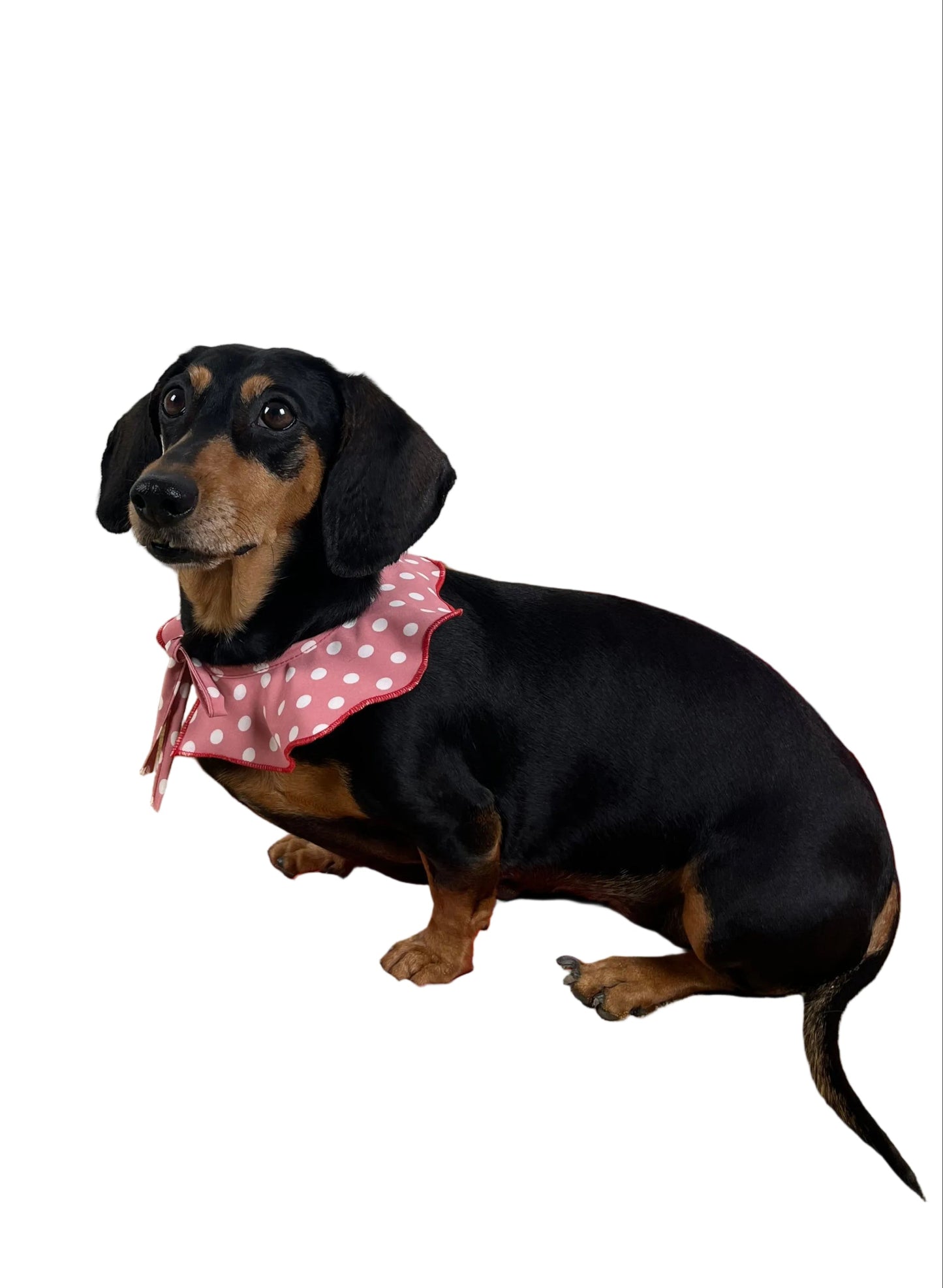 The Bandanas