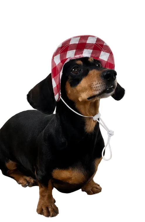 The Bucket Hat